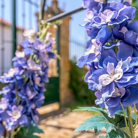 Kirki Old Winery Guest House Exterior foto